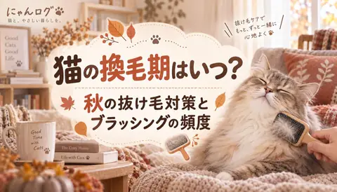 猫の換毛期はいつ？秋の抜け毛対策とブラッシングの頻度