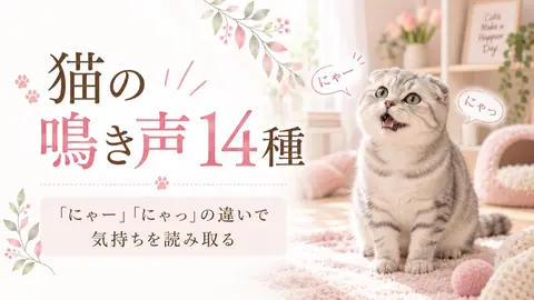 猫の鳴き声の意味14種｜「にゃー」「にゃっ」の違いで気持ちを見分ける