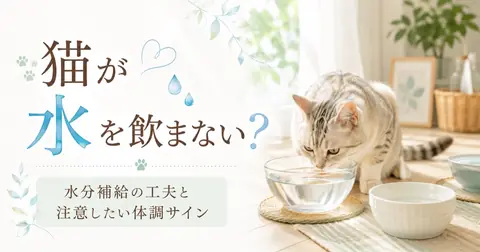 猫が水を飲まないのは大丈夫？飲水量を増やす工夫と受診が必要なサイン