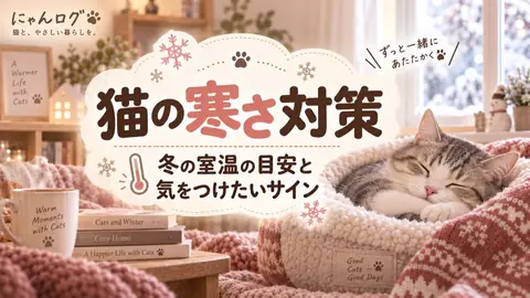 猫の寒さ対策｜室温の目安と冬に気をつけたいサイン