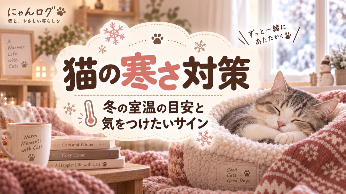 猫の寒さ対策｜室温の目安と冬に気をつけたいサイン